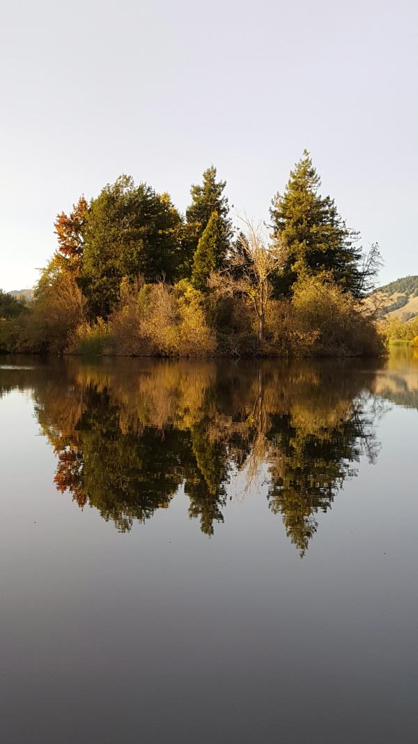 /Images/uploads/Sonoma County Regional Parks Foundation/springlake50/entries/28936thumb.jpg